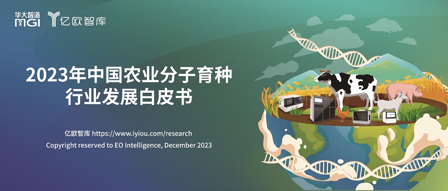 報(bào)告解讀丨未來(lái)種業(yè)“扛把子”——從中國(guó)分子育種看農(nóng)業(yè)科技創(chuàng)新之路