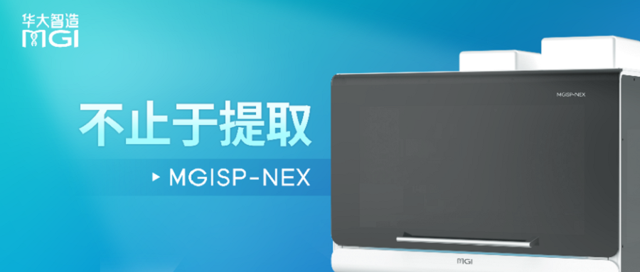 華大智造MGISP-NEX獲三張“通行證”，加速賦能全球組學(xué)發(fā)展