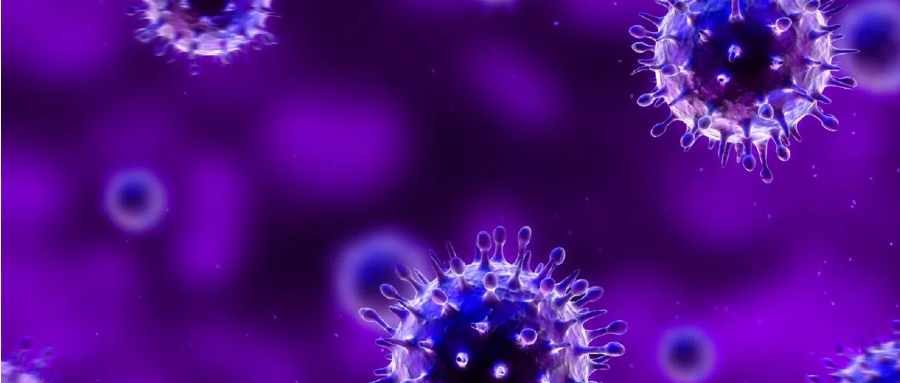 猴痘病毒(Monkeypox virus, MPXV)測序組合產(chǎn)品